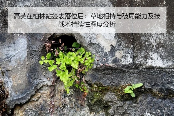 高芙在柏林站签表落位后：草地相持与破局能力及技战术持续性深度分析