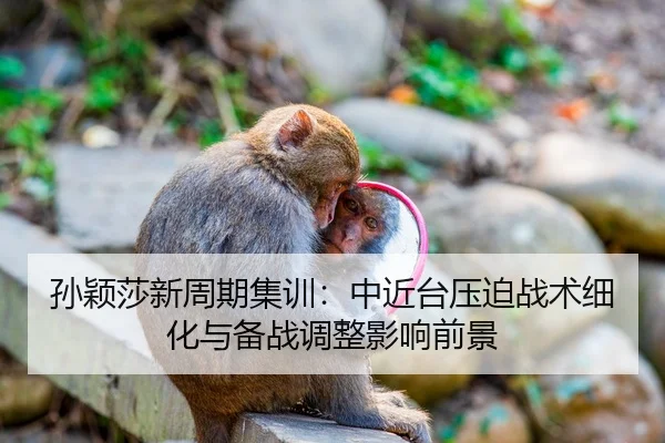孙颖莎新周期集训：中近台压迫战术细化与备战调整影响前景